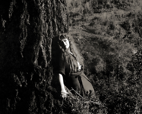 The Trail of the Lonesome Pine